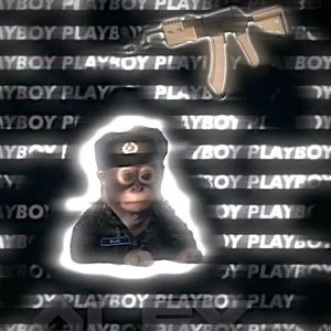 Meet your Posher, Leo